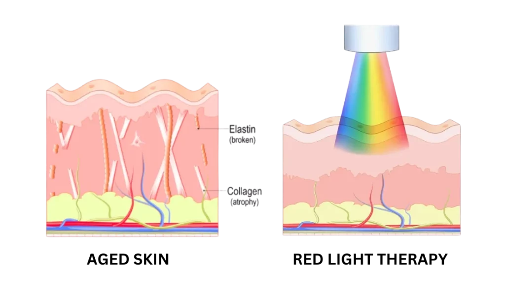 78f436889ed3367ade1080493712cb7905a573da