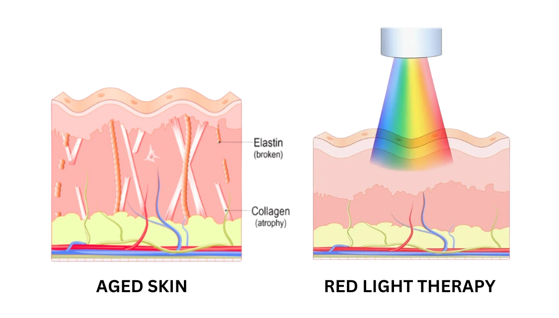 Aged skin led red light therapy